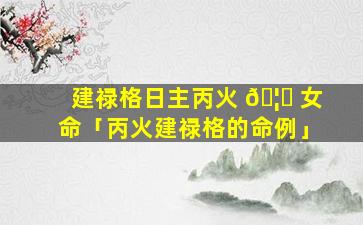 建禄格日主丙火 🦍 女命「丙火建禄格的命例」